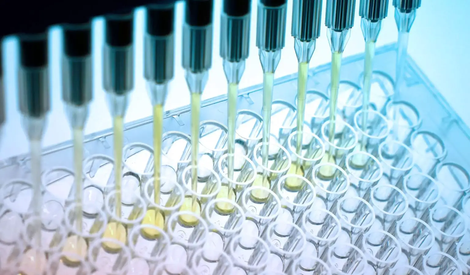 Formate-Carbon-Neutral-Bioeconomy-1536x898.webp