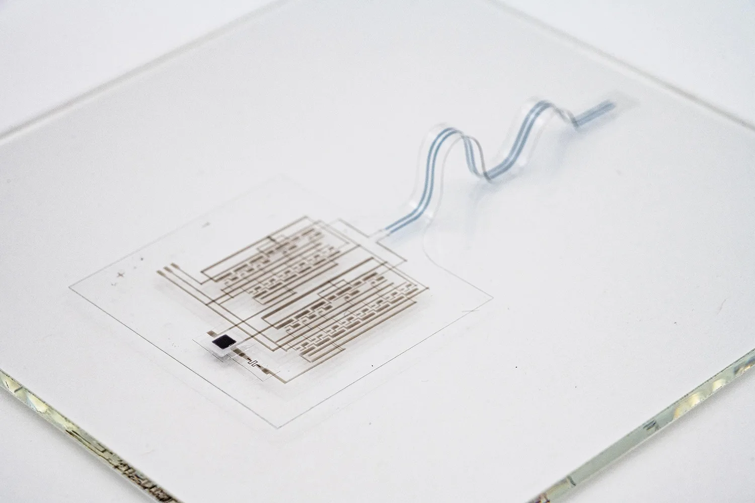 e-skin-close-up-of-device.webp