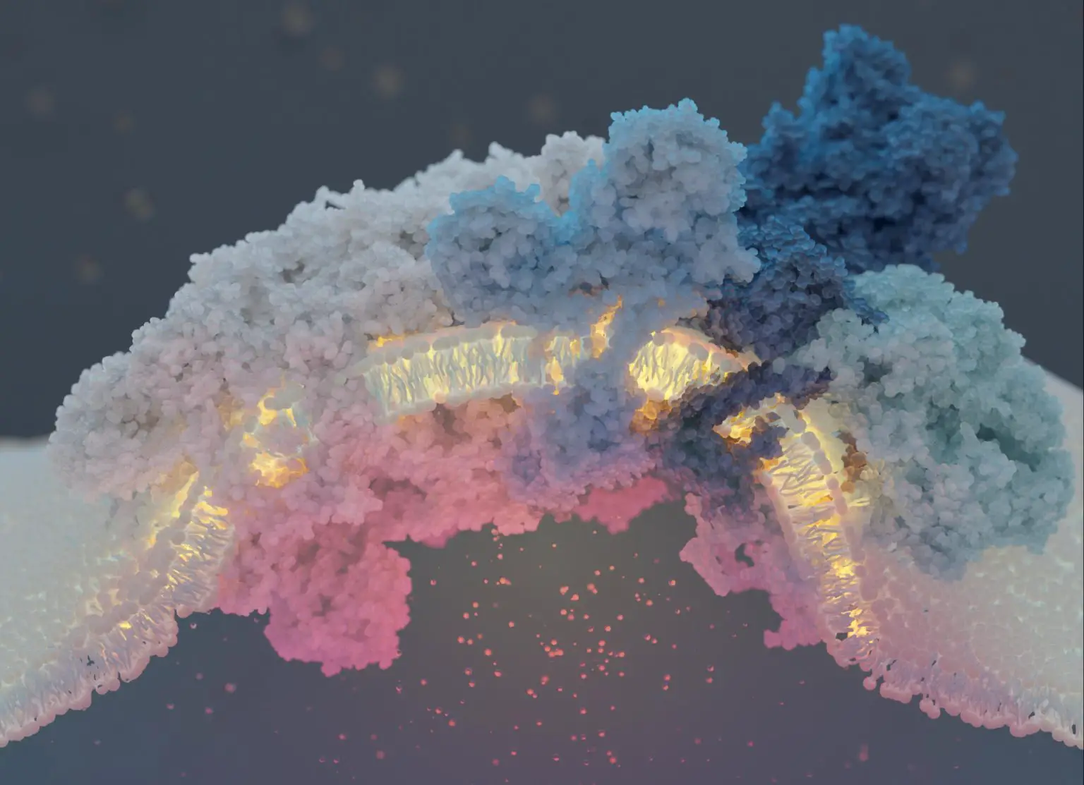 The-Complete-Respiratory-Supercomplex-1536x1113.webp