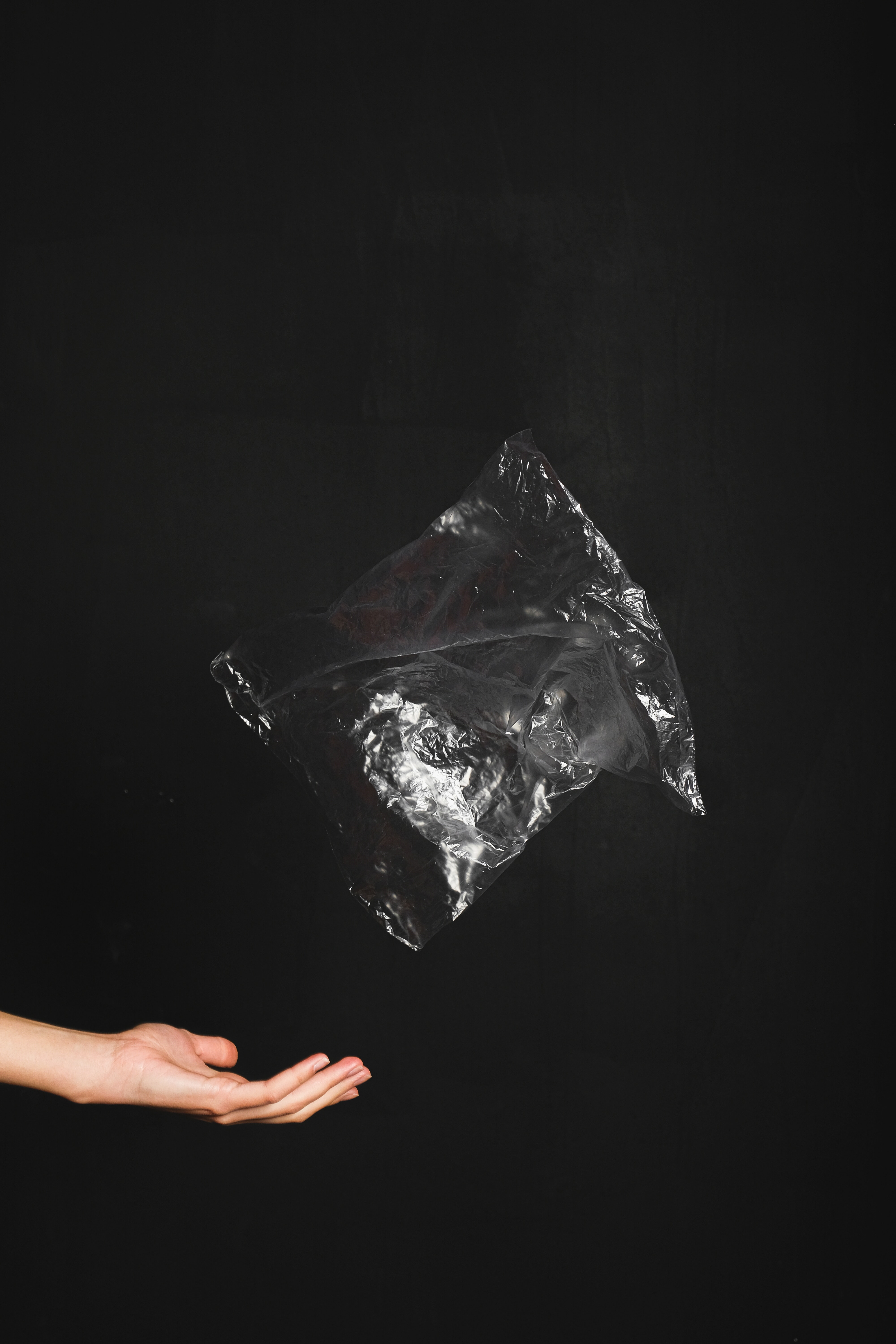 plastic-bag-pexels-anna-shvets-3683199.jpg