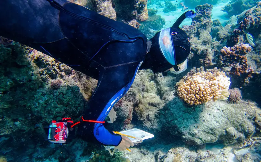 Coral-Reef-Moorea-2048x1269.webp