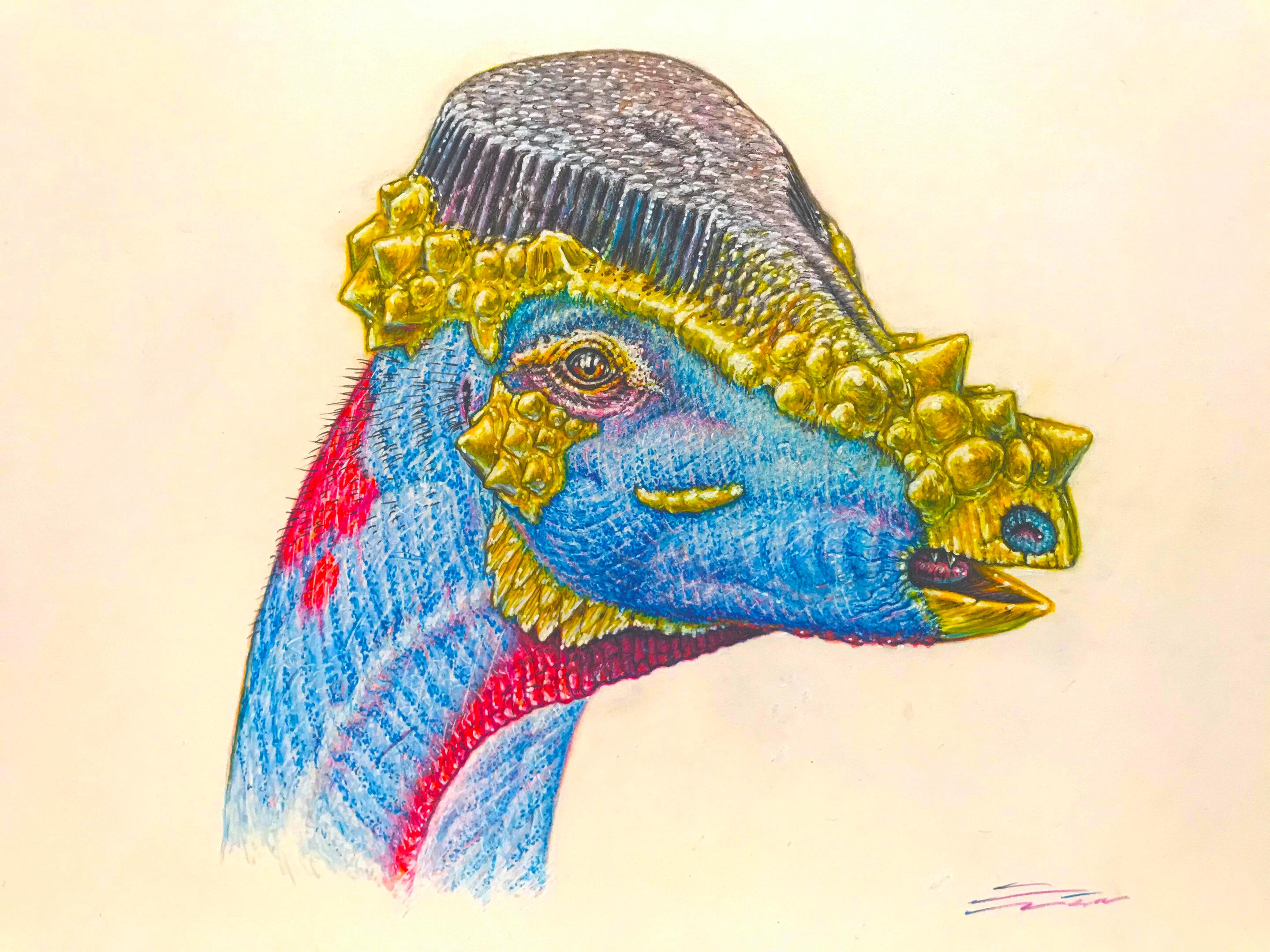 U4qwlO6I.jpg