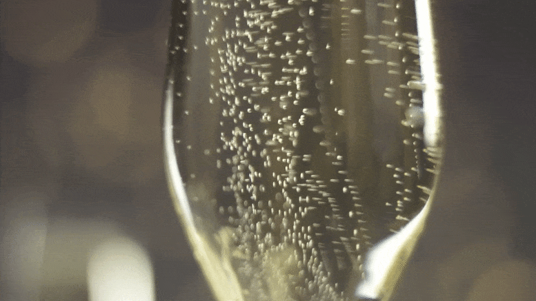Champagne-Bubbles.gif