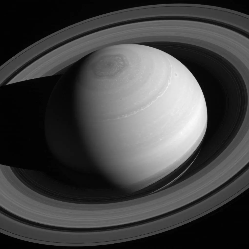 Saturn-Ring-King.webp
