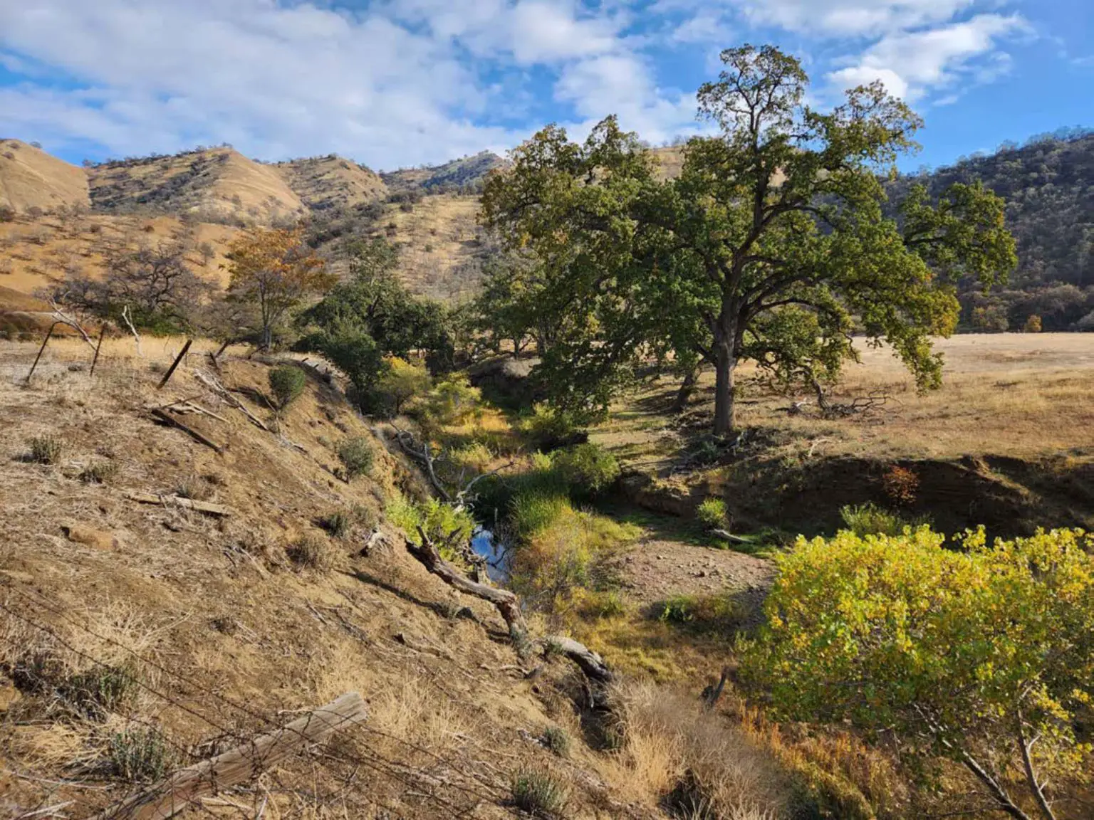 Freshwater-Creek-1536x1152.webp