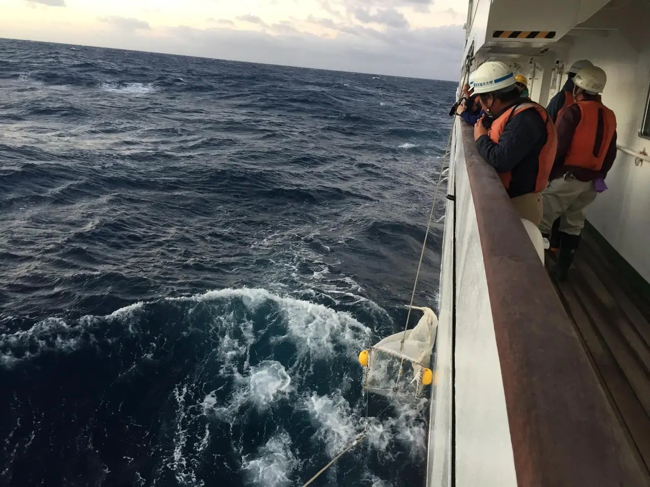 Collecting-Microplastics.webp