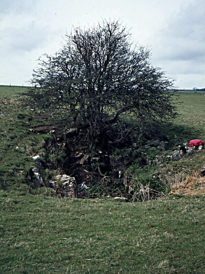 Charterhouse-Warren-1972.webp