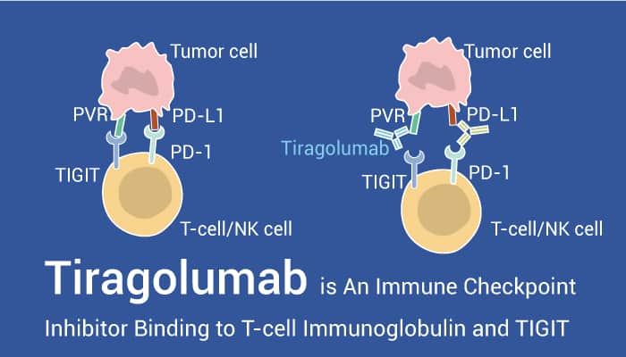 Tiragolumab-0716.jpg