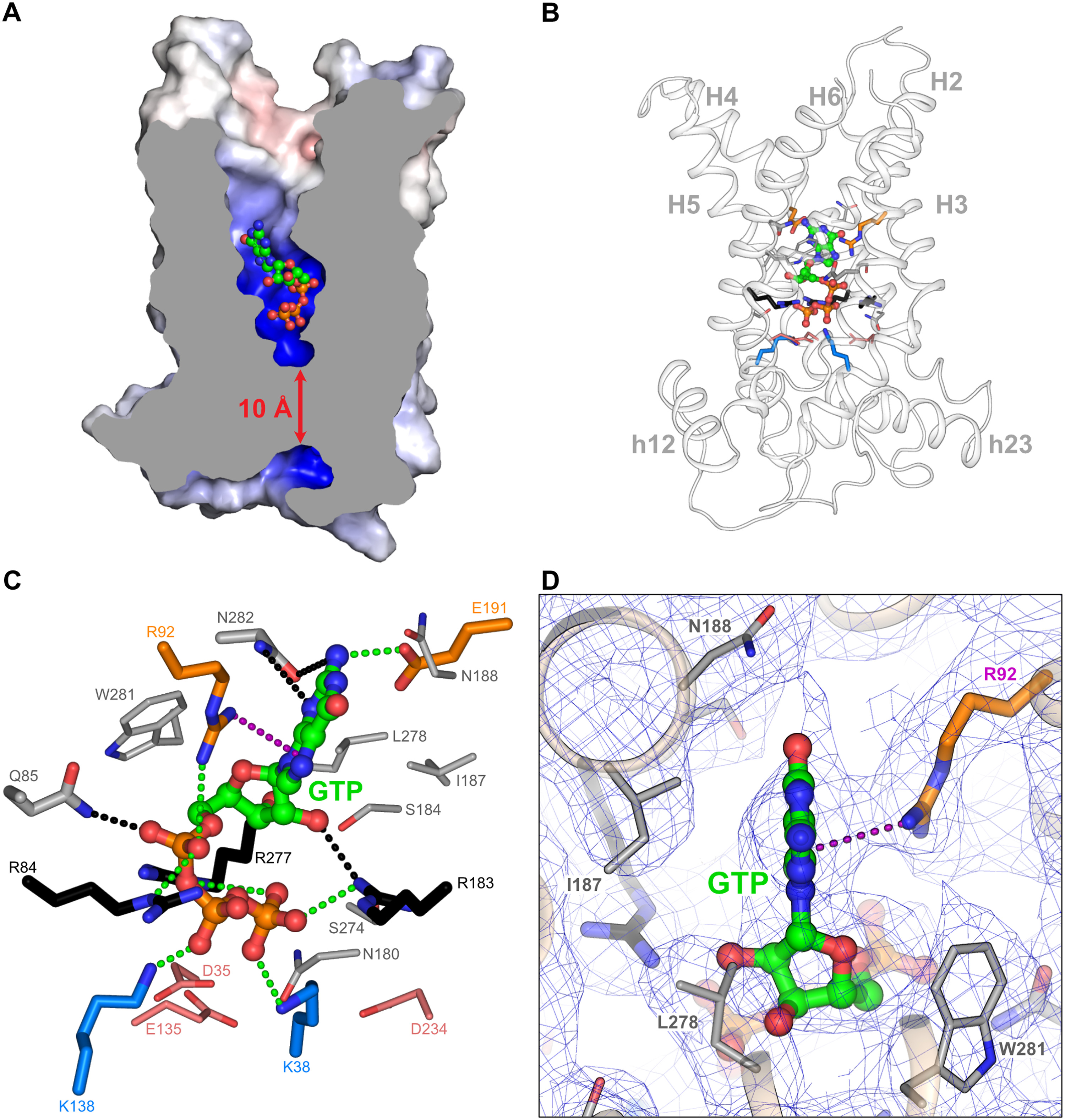 sciadv.adh4251-f2.jpg