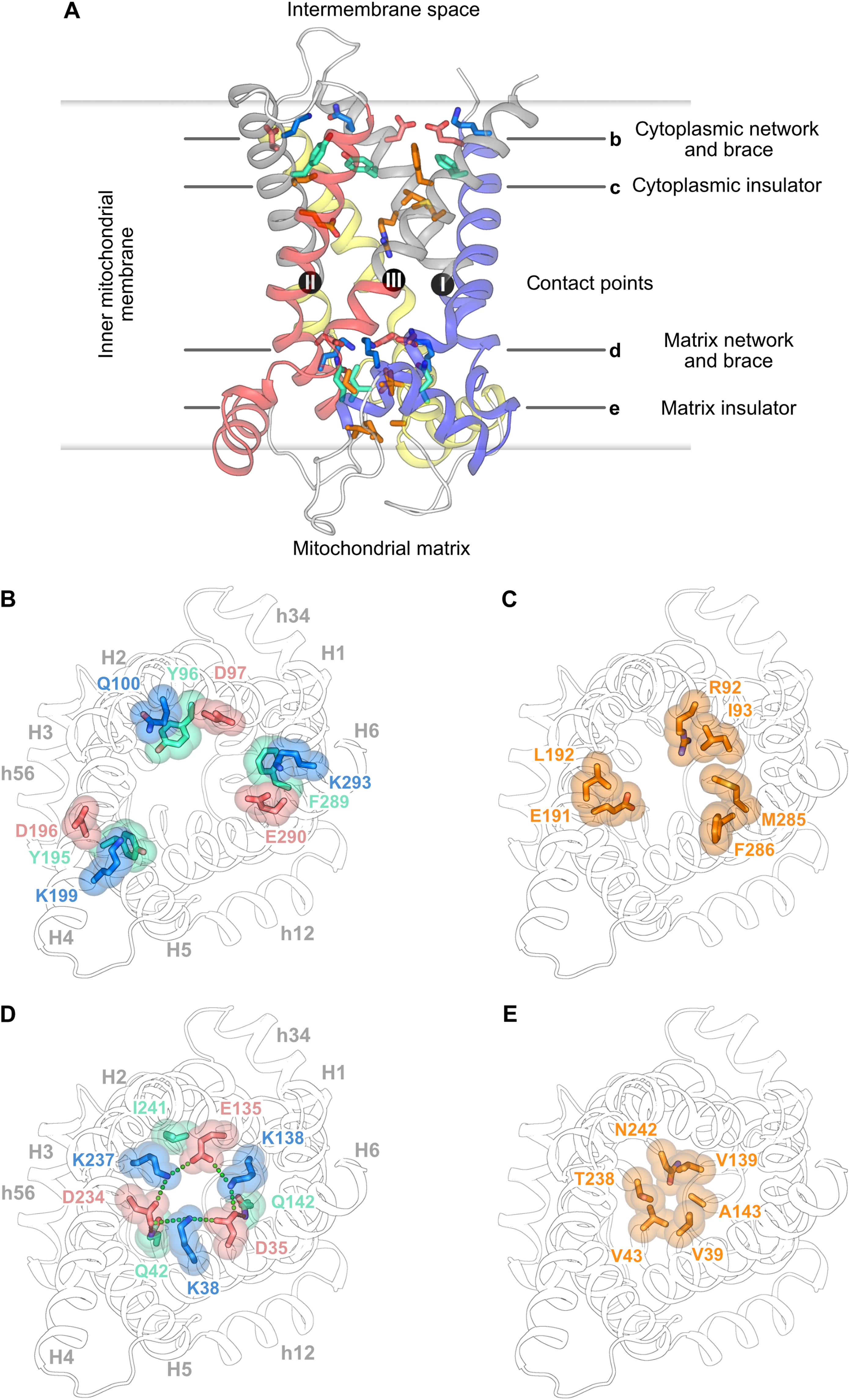 sciadv.adh4251-f3.jpg