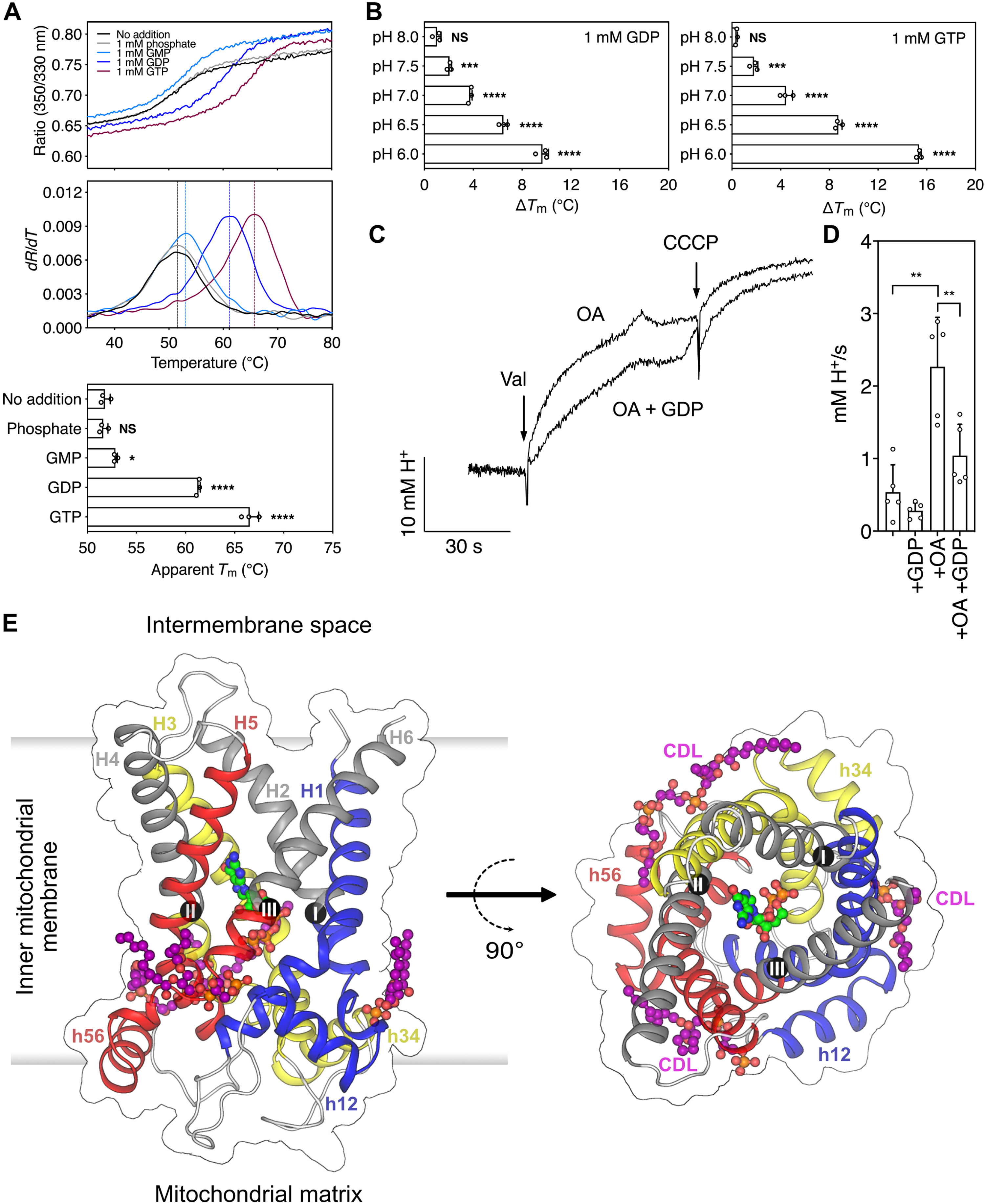 sciadv.adh4251-f1.jpg