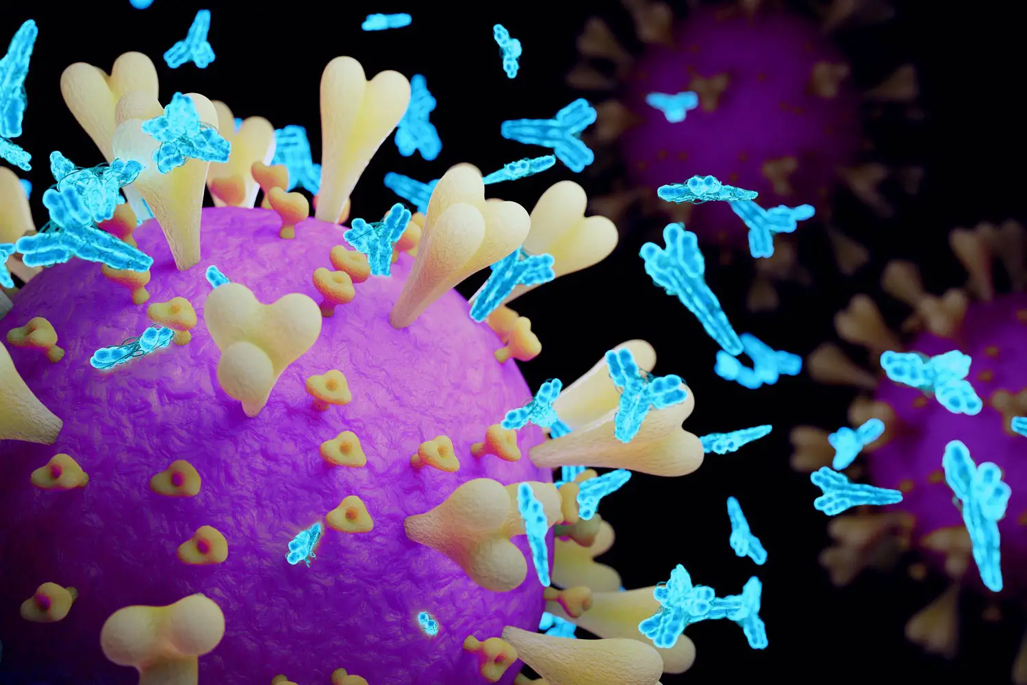 SARS-CoV-2-Neutralizing-Antibodies.webp