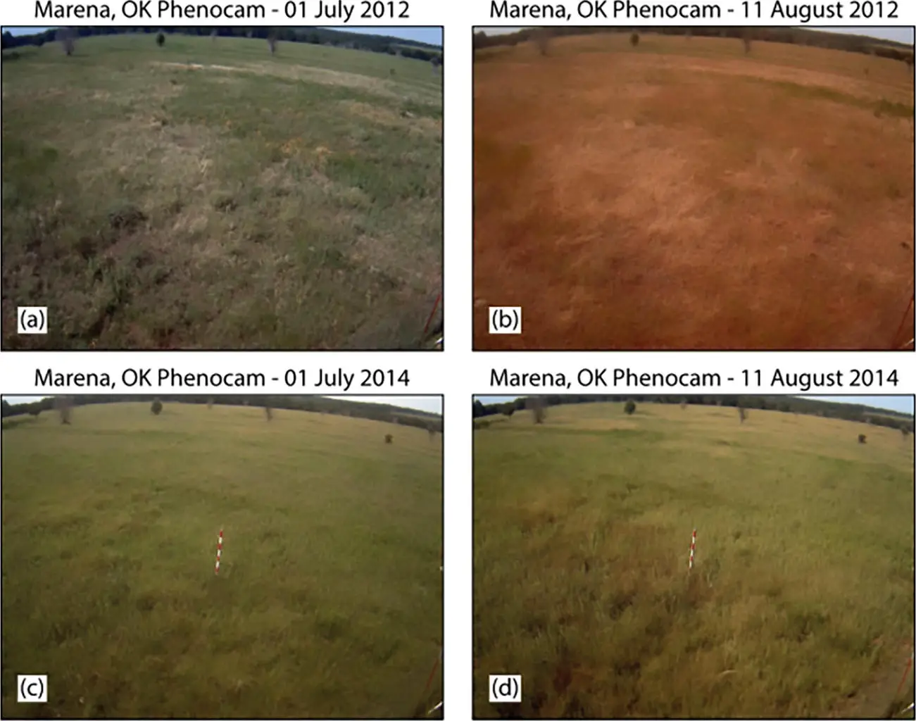 Impact-of-a-Flash-Drought-on-a-Grassland-in-Oklahoma.webp