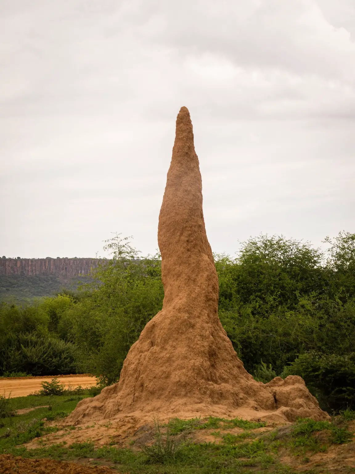 Termite-Mound-in-Waterberg-Namibia-1152x1536.webp