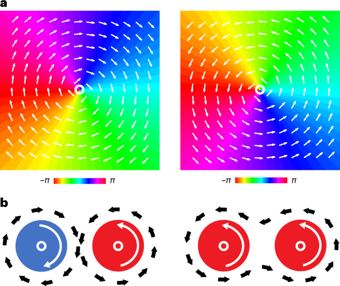 41562_2023_1626_Fig1_HTML.png