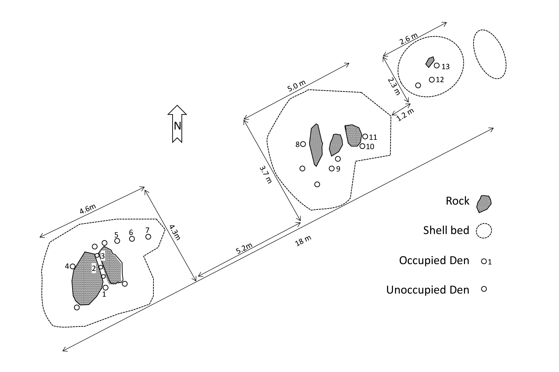 octopus-dens_fig1.jpg