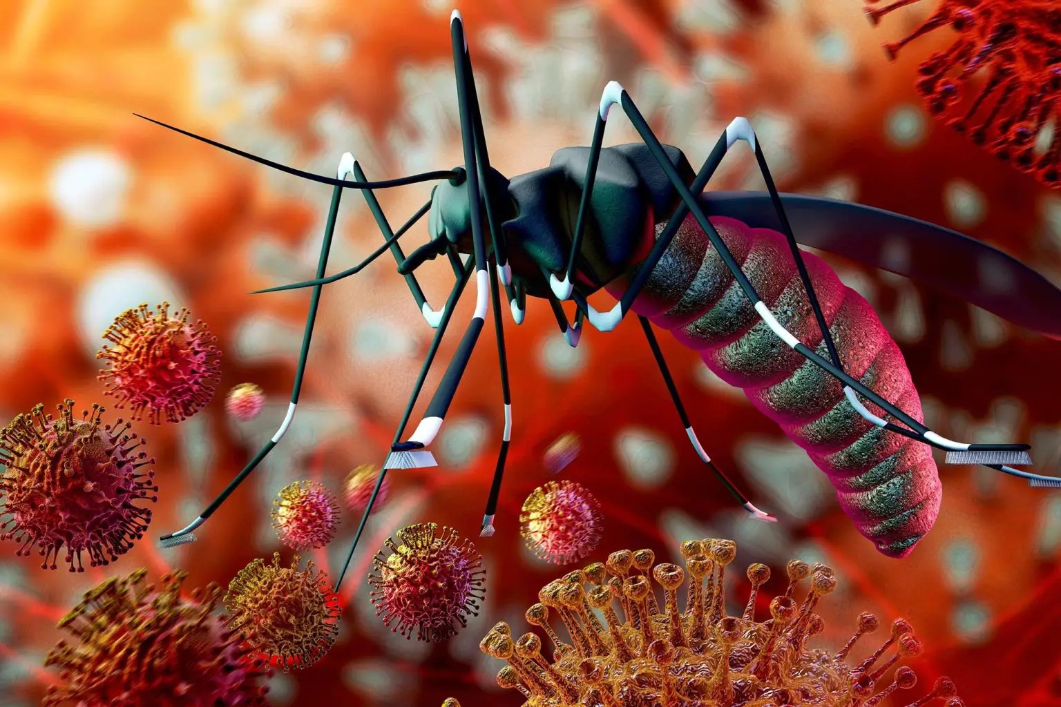 Zika-Malaria-Mosquito-Virus-Concept-Illustration-1536x1024.webp