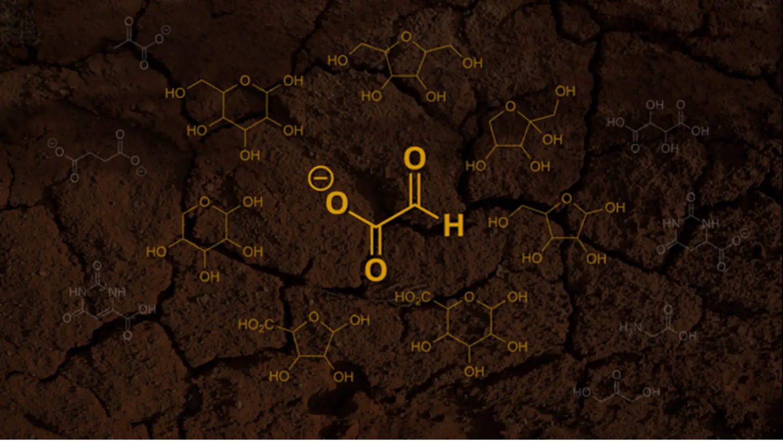 Glyoxylate-and-Byproducts-1536x869.webp