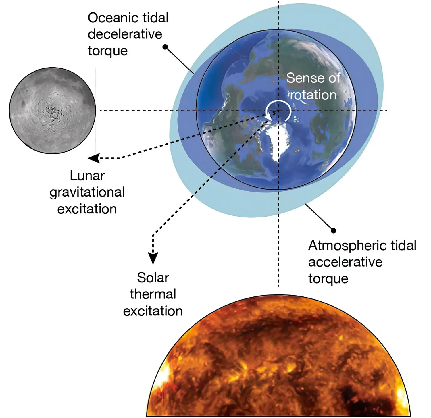 Earths-Opposing-Tides.webp