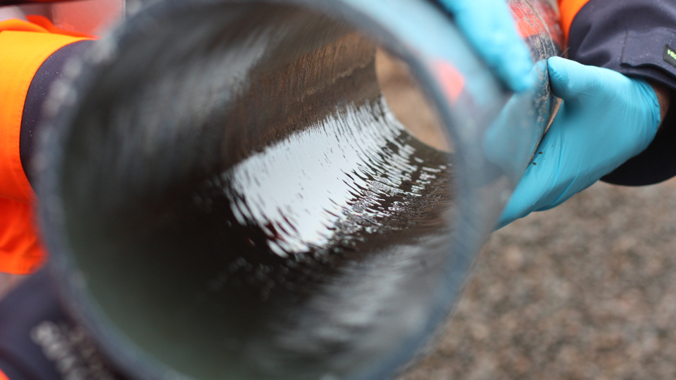 biofilm on pipe.jpeg