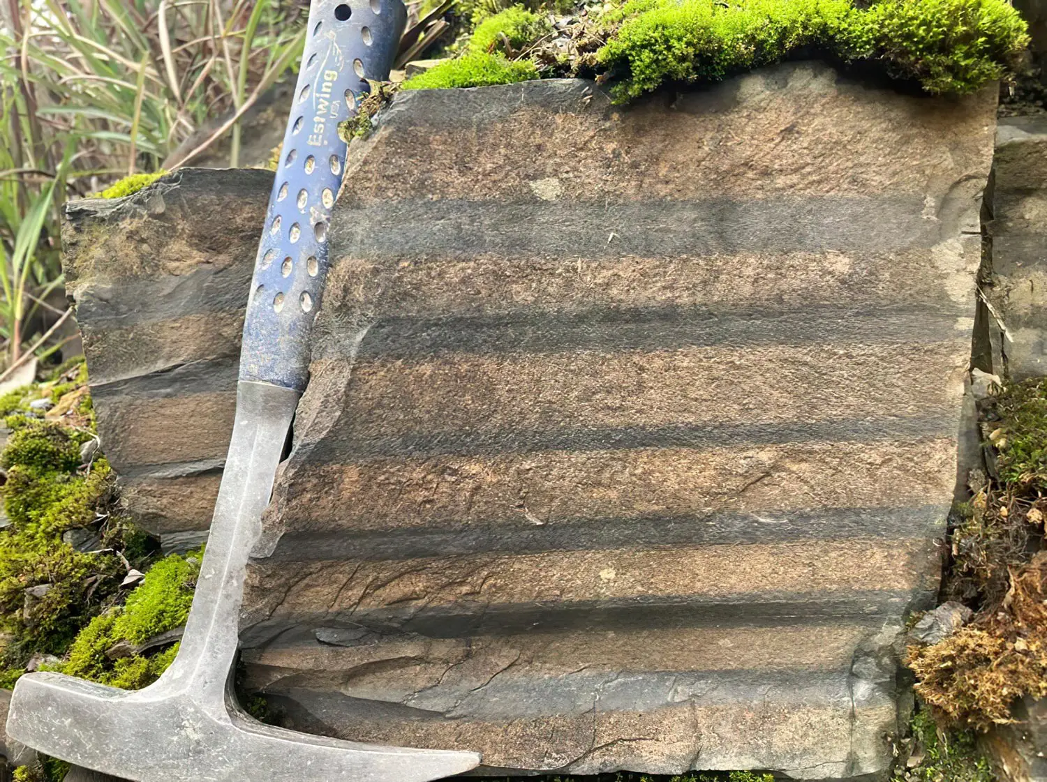 600-Million-Year-Old-Sedimentary-Rock-Preserving-Milankovitch-Cycles.webp