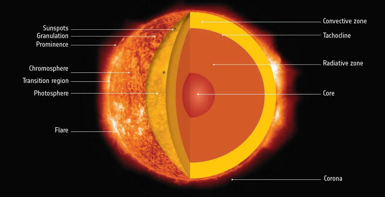 Anatomy-of-Our-Sun.webp