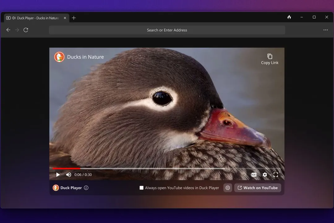 DDG_Windows___Duck_Player.webp