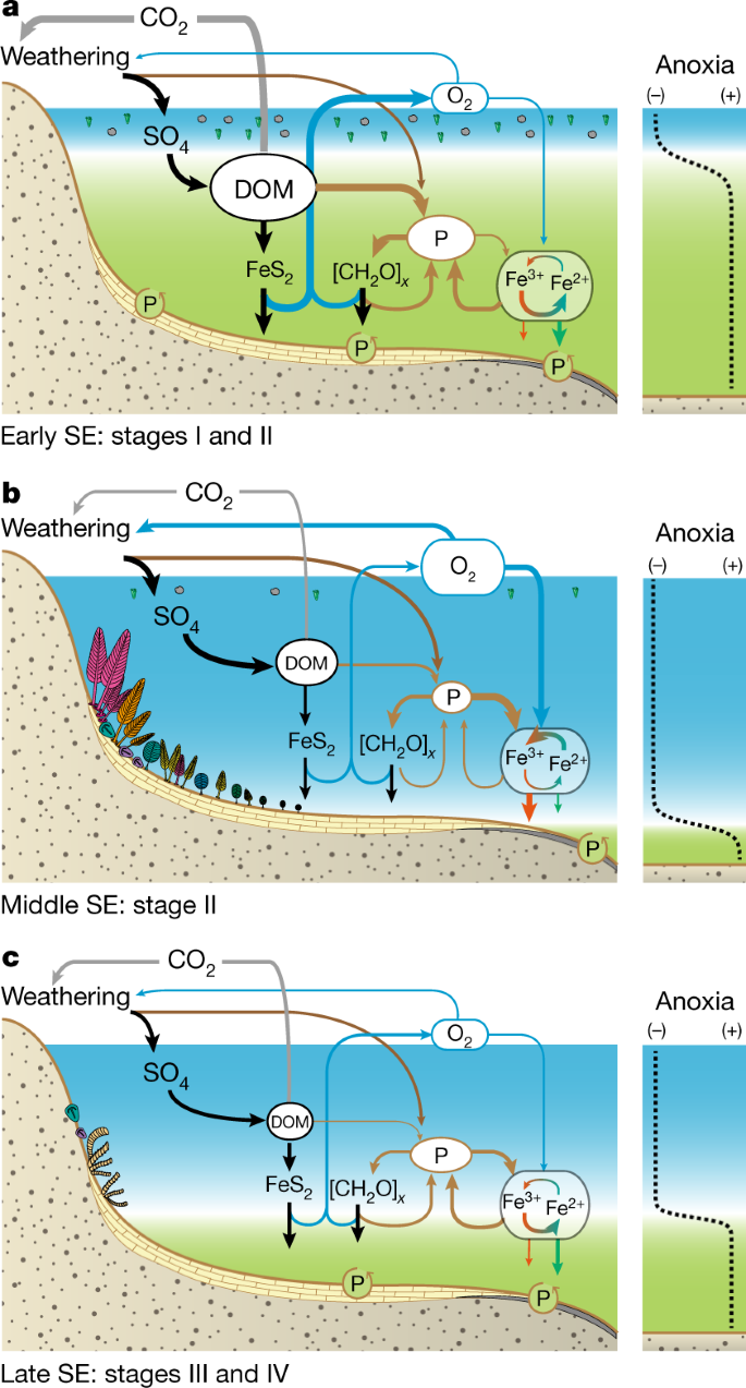41586_2023_6077_Fig2_HTML.png