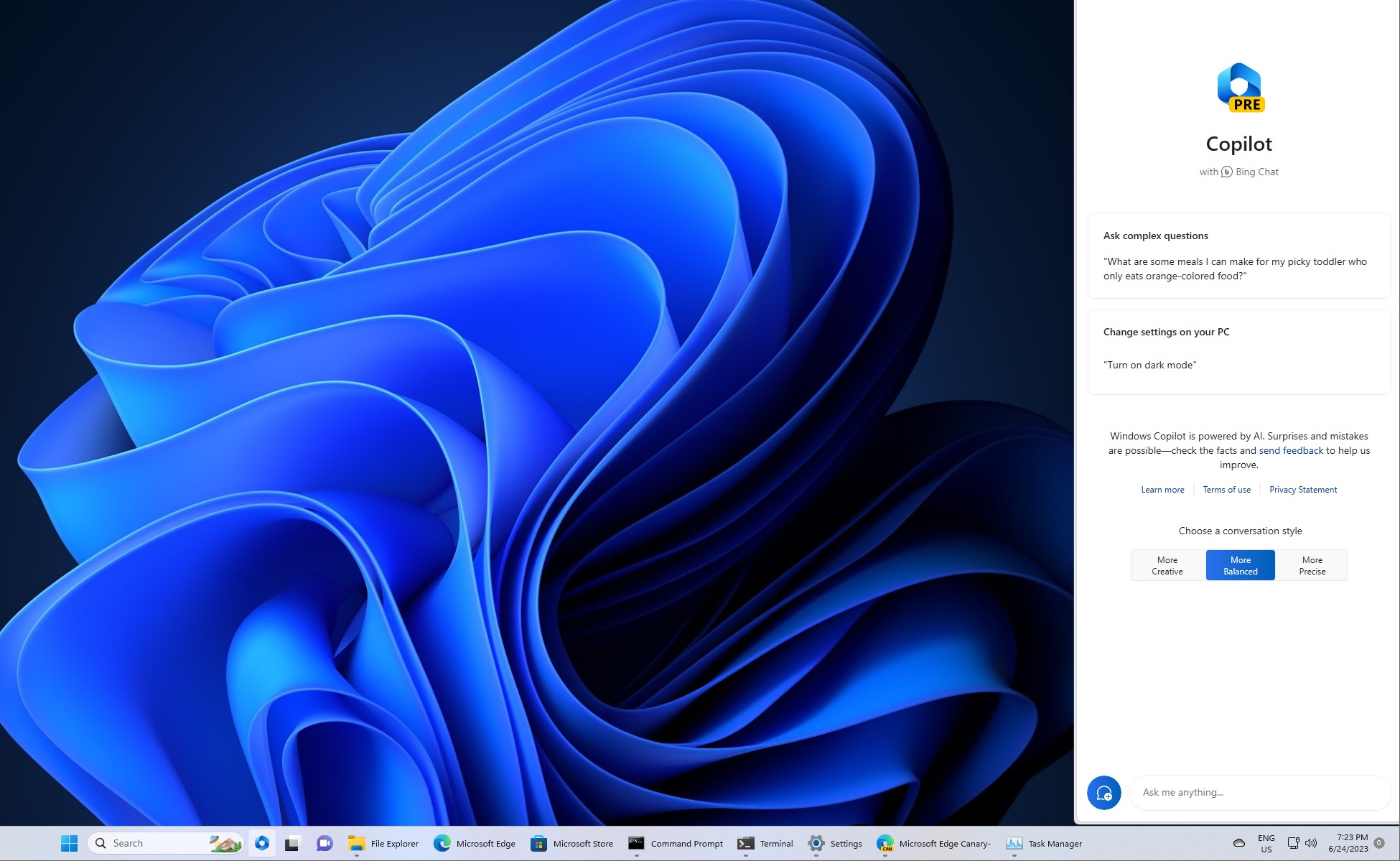 Windows-Copilot-hands-on.jpg