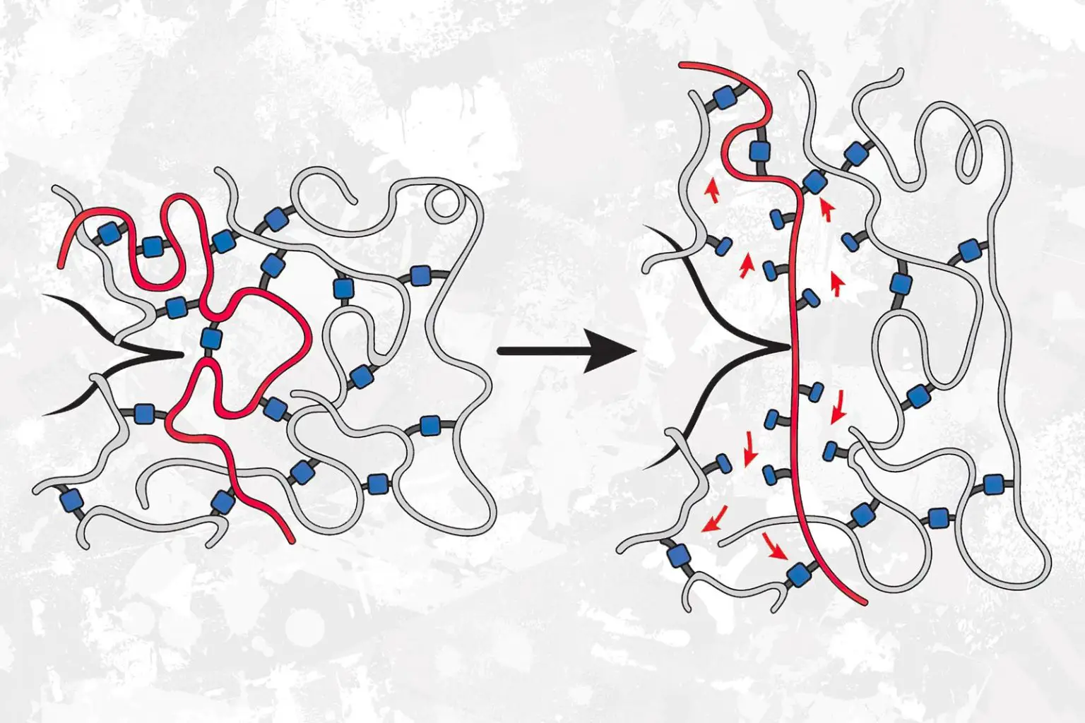 Weaker-Bonds-Make-Polymers-Stronger-1536x1024.webp