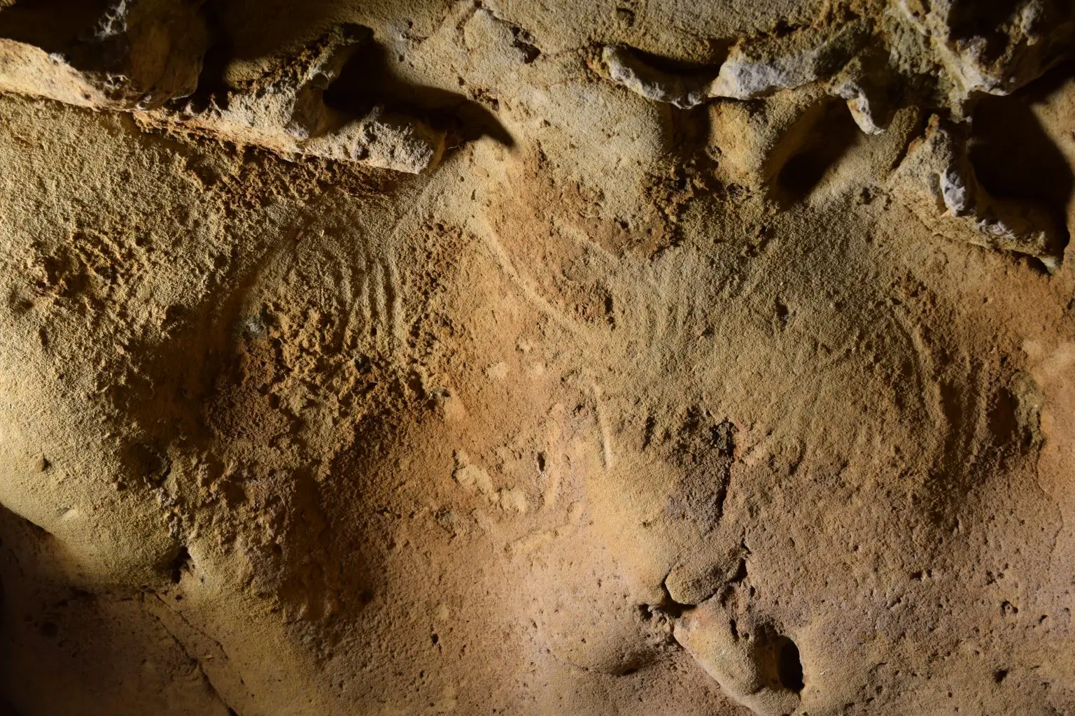 Examples-of-Engravings-Discovered-in-the-Roche-Cotard-Cave-1536x1024.webp