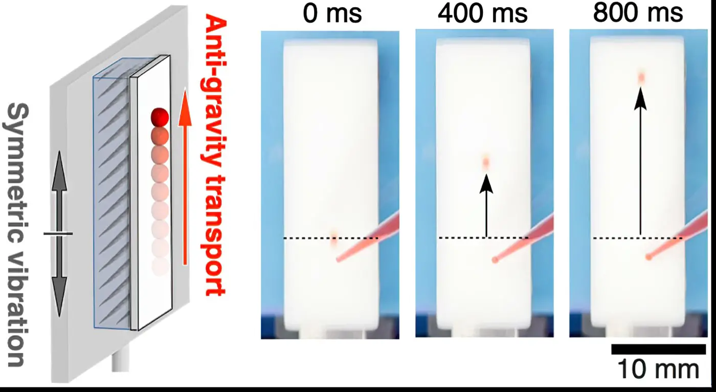 Hydrogel-for-Anti-Gravity-Transport-of-Water-Droplets.webp