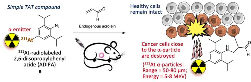 Astatine-211-Targeted-Alpha-Particle-Therapy.webp
