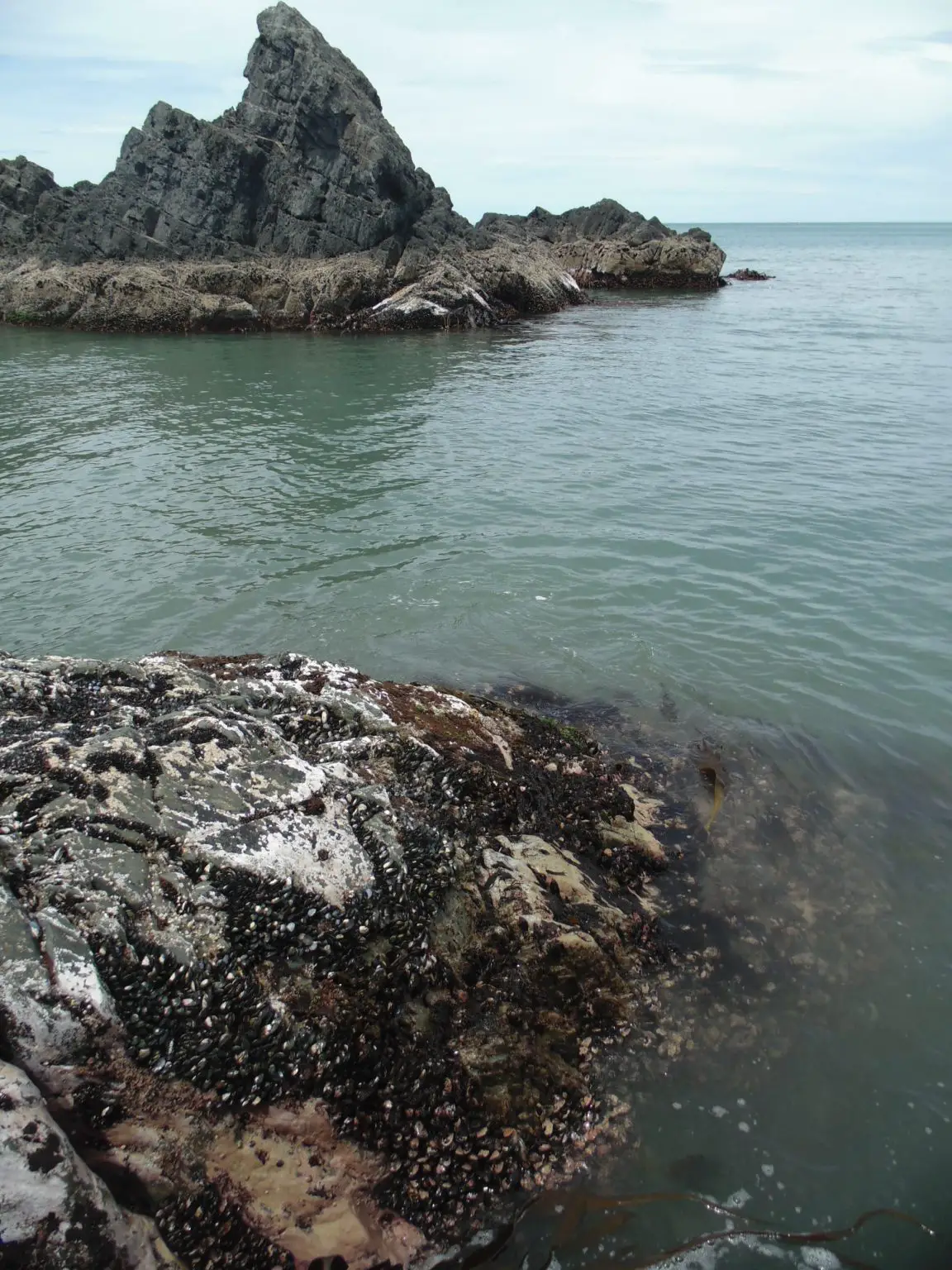 The-Raised-Bench-Above-the-Waterline-at-Rarangi-1152x1536.webp