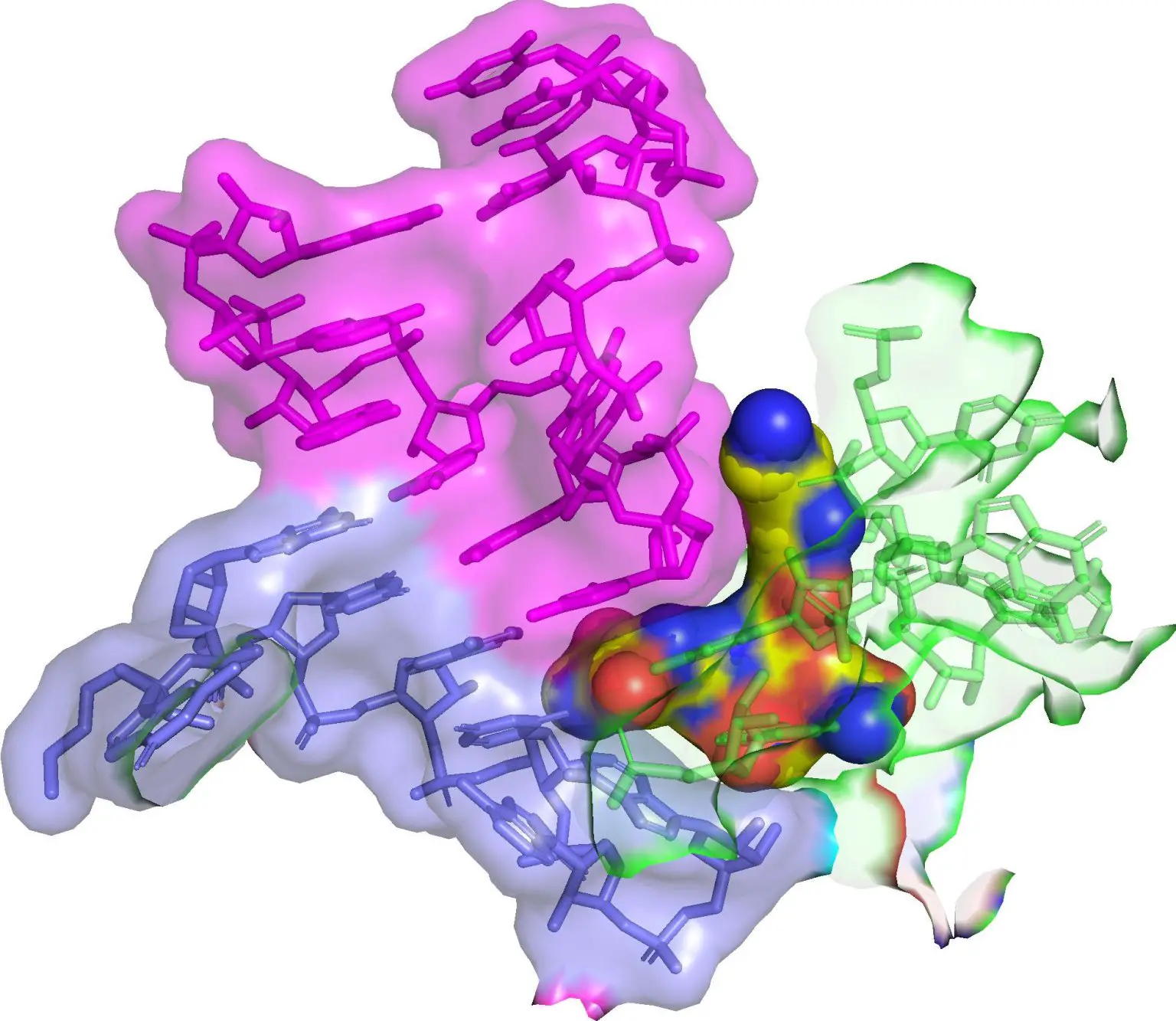 Neglected-80-Year-Old-Antibiotic-1536x1333.webp