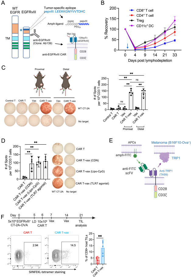 1-s2.0-S0092867423006426-figs1.jpg