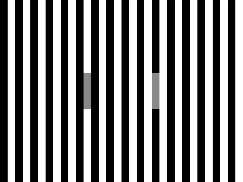 Lightness-Induction-Whites-Bars.webp