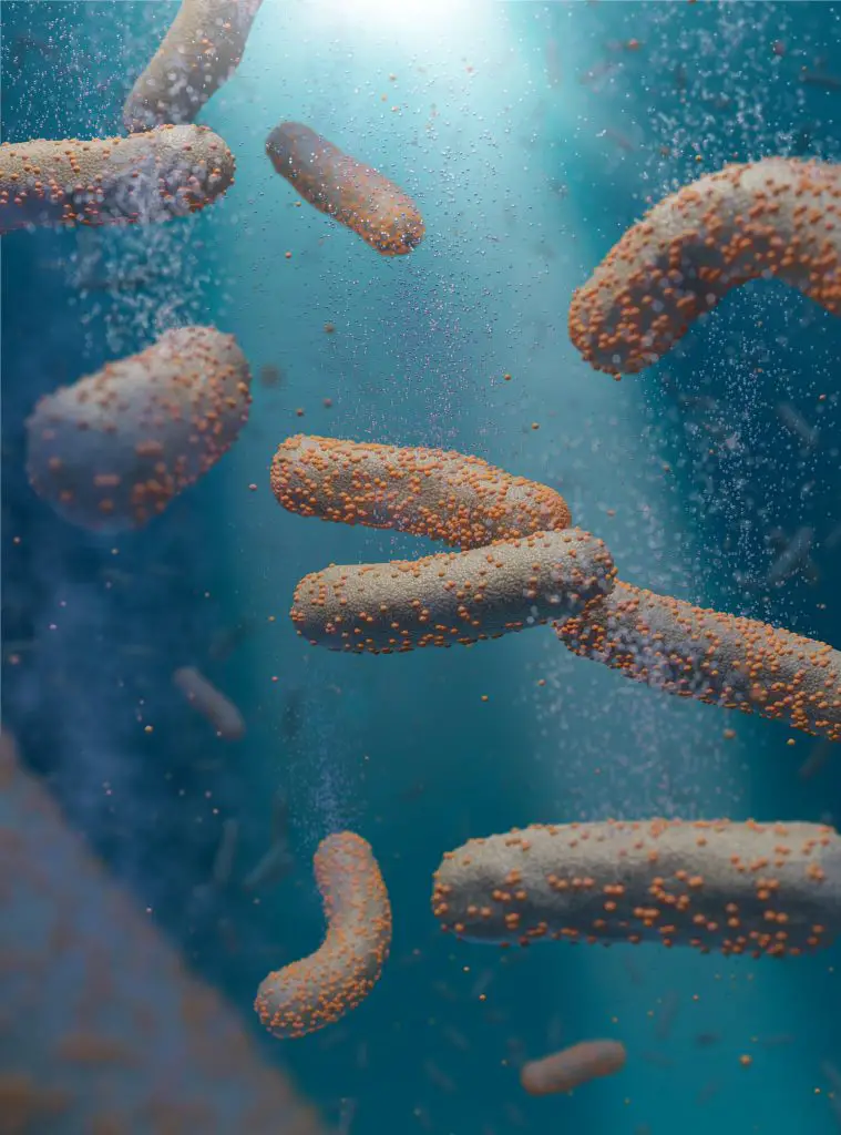 Bacteria-and-Nanoparticle-Catalysts-759x1024.webp