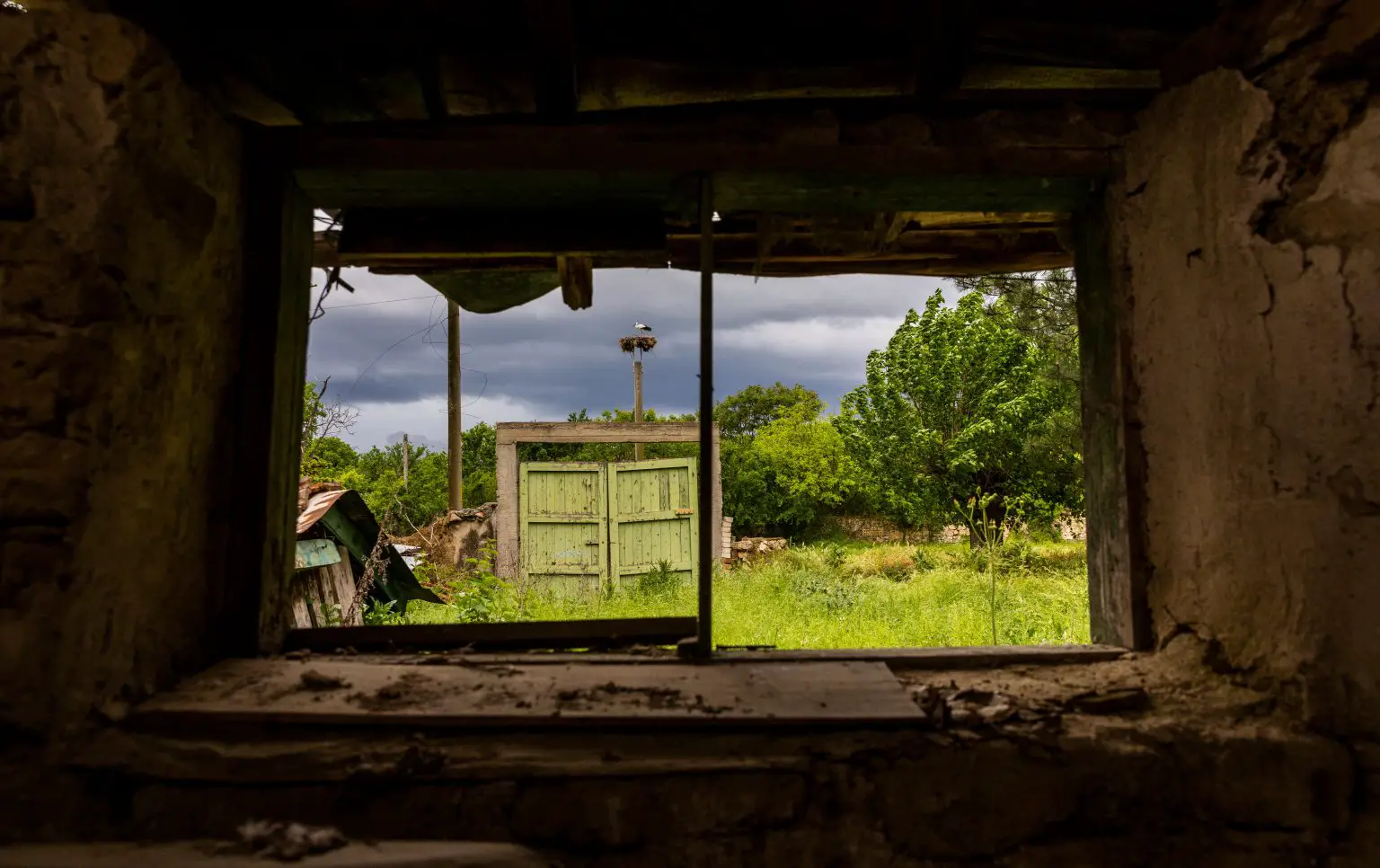 Wildlife-Seen-Through-Ruins-1536x966.webp
