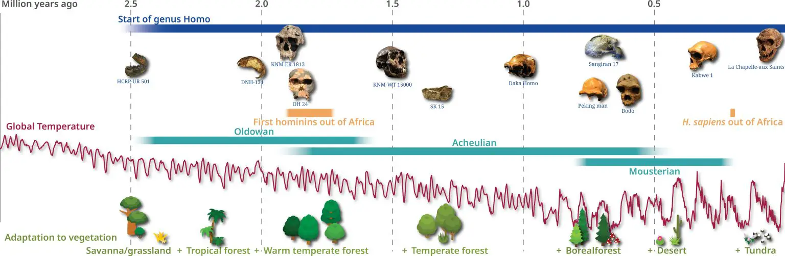 Timeline-of-Hominin-Evolution-and-Adaptation-to-Various-Vegetation-Types-1536x502.webp
