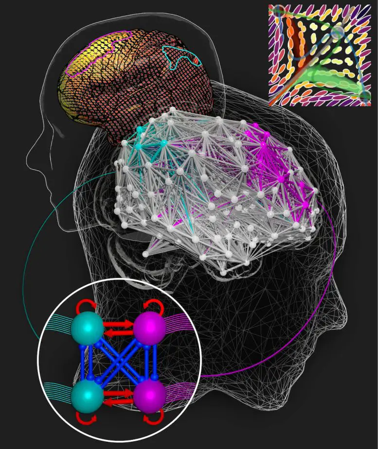 How-Network-Structure-Shapes-Decision-Making-777x924.webp
