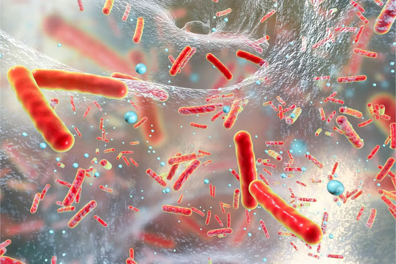 Red-Bacteria-Microbes.webp