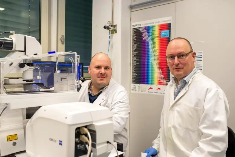 Markus-Hoffmann-and-Stefan-Pohlmann-777x519.webp