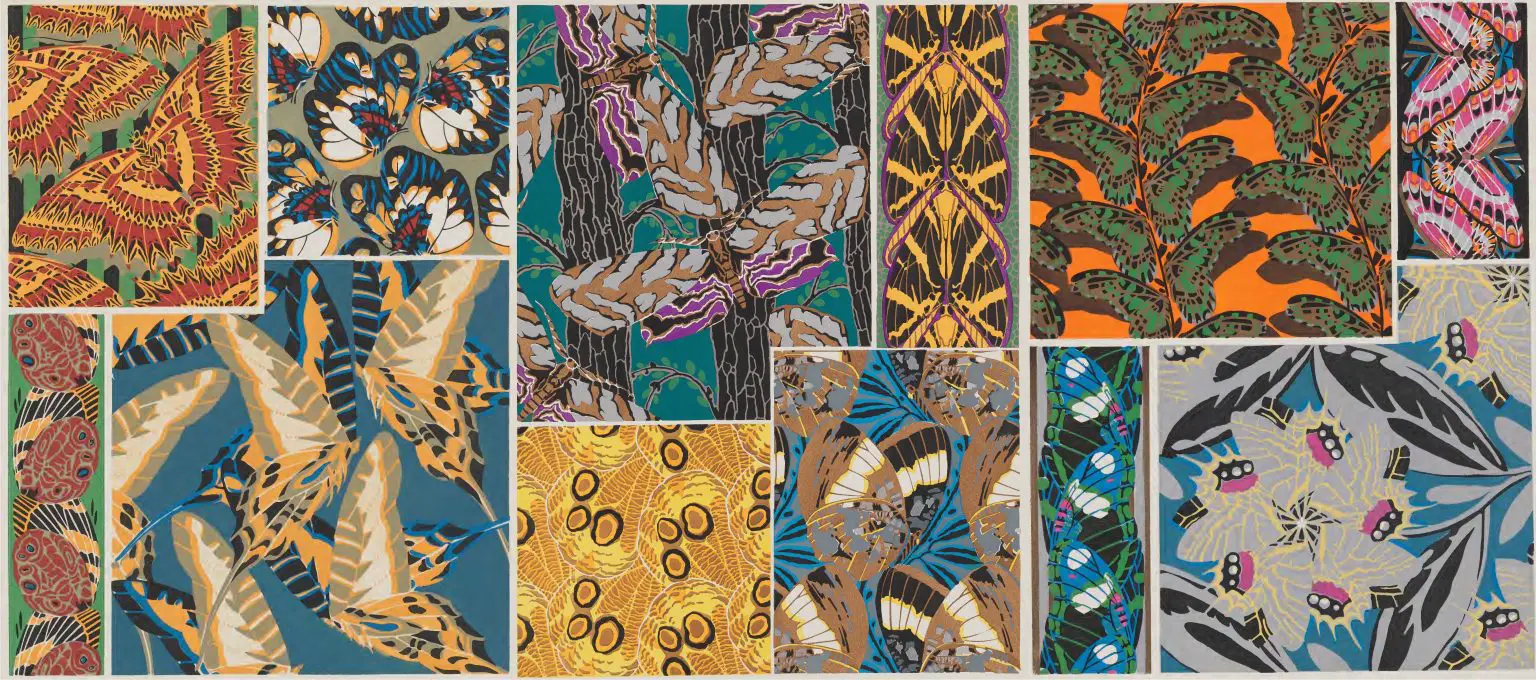 UF-Illustration-Plates-1536x680.webp