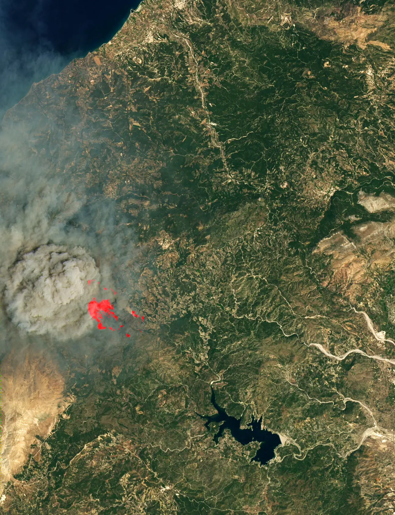 Wildfires-Greek-Island-of-Rhodes.webp