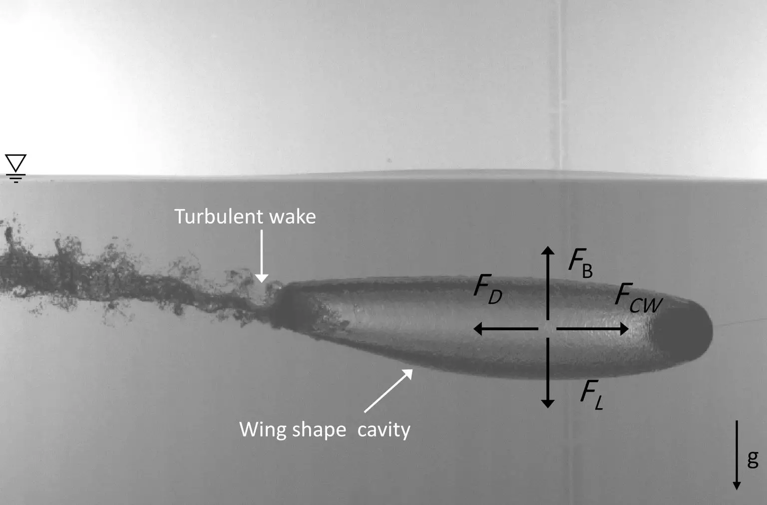 Air-Cavity-Formation-1536x1012.webp