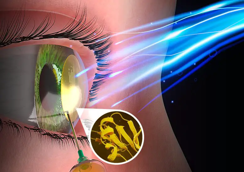 Injectable-Biomaterial-Activated-by-Pulses-of-Low-Energy-Blue-Light-777x549.webp