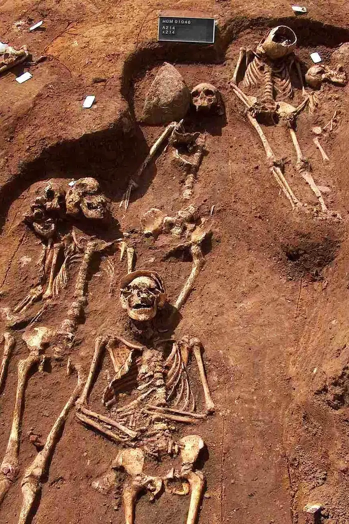 Skeletons-Found-During-an-Excavation-at-a-Cemetery-in-Sejet-scaled.webp