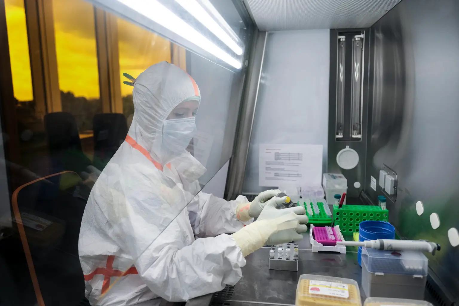 aDNA-Laboratory-at-Kiel-University-1536x1024.webp