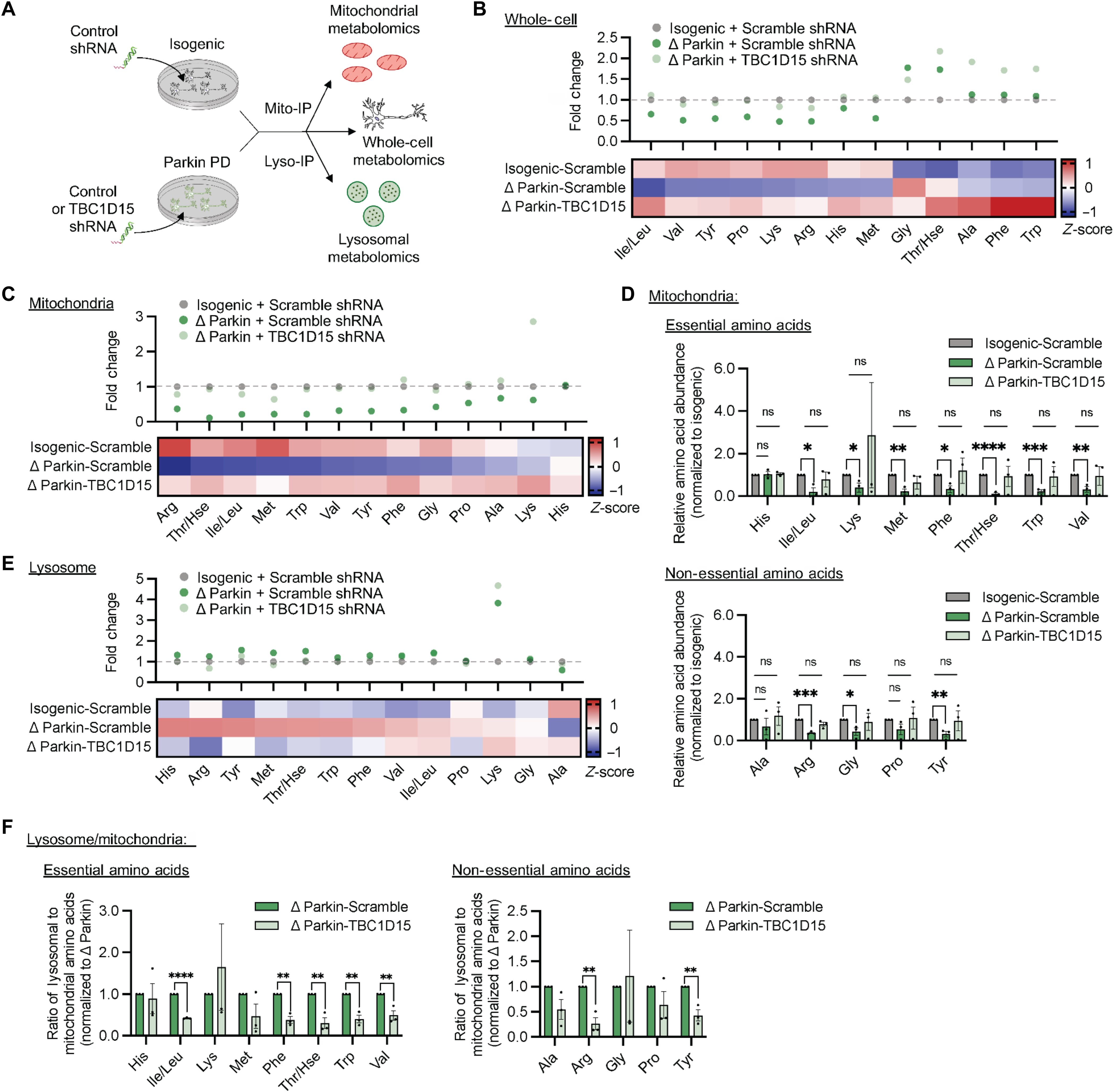 sciadv.adh3347-f6.jpg